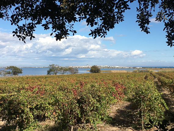 Rencontre Régionale 3 octobre 2017 - Palavas-Les-Flots - Domaine des compagnons de Maguelonne