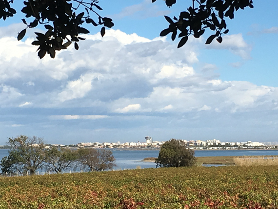 Rencontre Régionale 3 octobre 2017 - Palavas-Les-Flots - Domaine des compagnons de Maguelonne