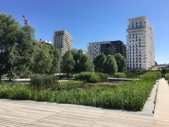 26 juin  2018 - Parc Clichy Batignolles - Martin Luther-King au coeur de l'écoquartier de Clichy-Batignolles