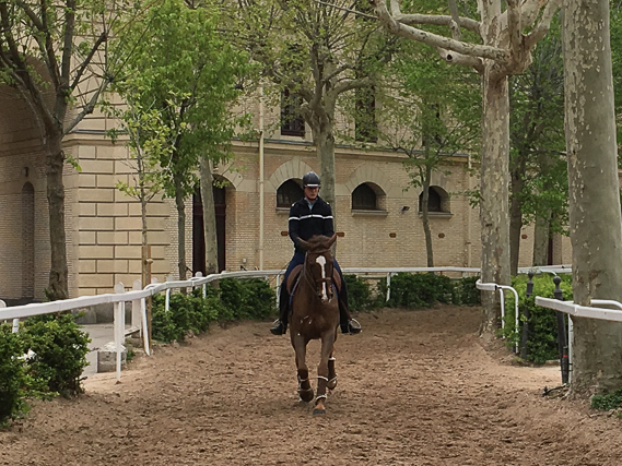 Garde Républicaine Caserne des Célestins - 16 avril 2019