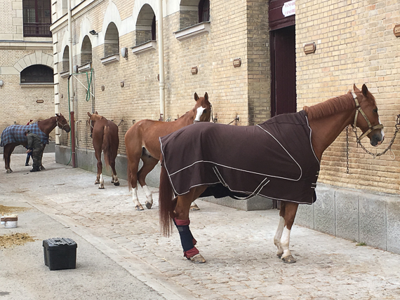 Garde Républicaine Caserne des Célestins - 16 avril 2019