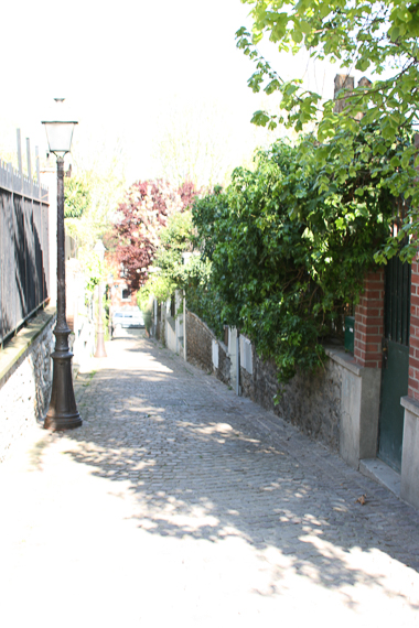 10 Avril 2014 - L'habitat social du XIXe siècle à nos jours. Quartier de la Mouzaïa aux Buttes Chaumont à Paris XIXe