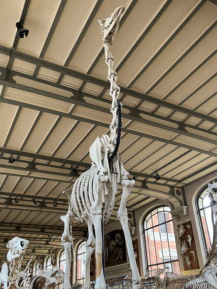 Jardin des Plantes de Paris