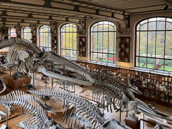 Jardin des Plantes de Paris