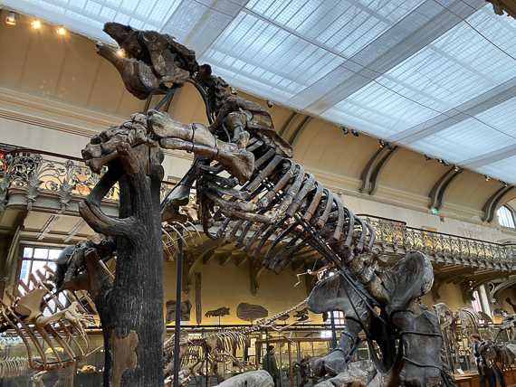 Jardin des Plantes de Paris