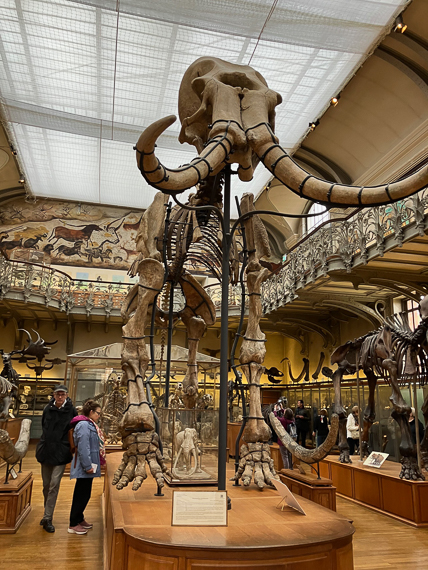 Jardin des Plantes de Paris