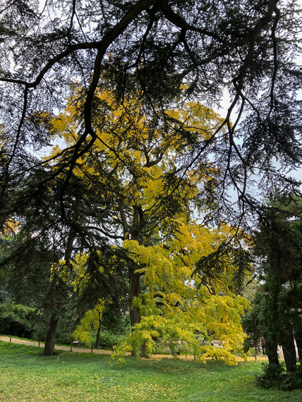 Jardin des Plantes de Paris